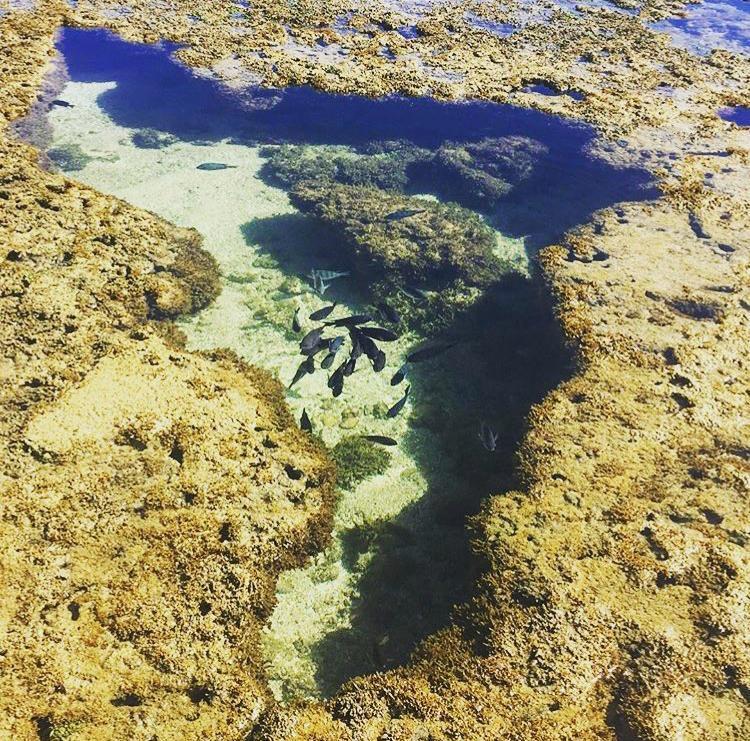 Pousada Maracabana Spa Otel Pôrto das Galinhas Dış mekan fotoğraf